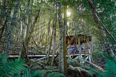 Private Blue Mountains Tour - Melbourne Tourism 4