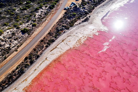 7-Day Exmouth Explorer Via Pinnacles Monkey Mia Ningaloo Reef Returning To Perth - Melbourne Tourism 0