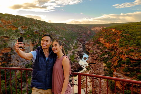 7-Day Exmouth Explorer Via Pinnacles Monkey Mia Ningaloo Reef Returning To Perth - Melbourne Tourism 5