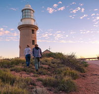 6-Day Coral Coaster from Perth to Exmouth One-Way via Monkey Mia Ningaloo Reef - Melbourne Tourism