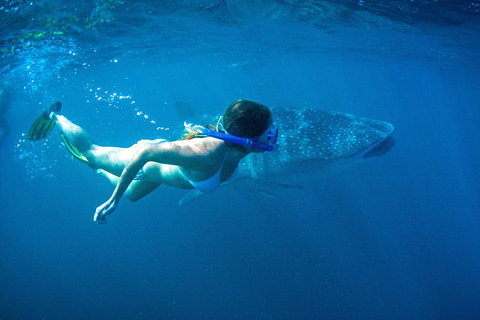 6-Day Coral Coaster From Perth To Exmouth One-Way Via Monkey Mia Ningaloo Reef - Melbourne Tourism 3
