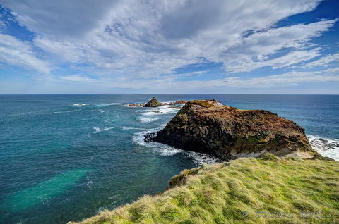 Small-Group Phillip Island Day Trip From Melbourne With Penguin Plus Viewing - Melbourne Tourism 0