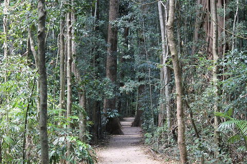 Eumundi Markets And Sunshine Coast Day Trip From Brisbane - Melbourne Tourism 4