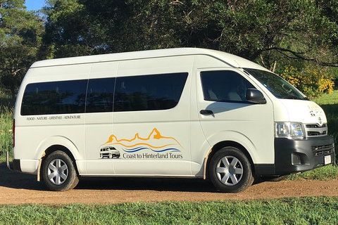 Noosa Everglades Serenity Cruise & Highlights Tour Inc. Lunch & Cruise - Melbourne Tourism 5