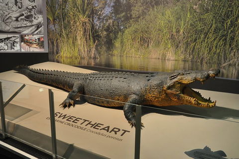 Explore Darwin City Sights Including Key Attractions - Melbourne Tourism 2