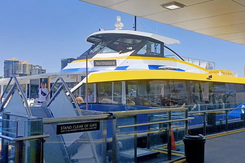 Brisbane City Essentials Walking Tour - Melbourne Tourism 3