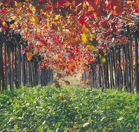 Margaret River Private Tour - Melbourne Tourism
