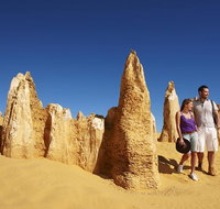 Pinnacles Day Trip from Perth Including Yanchep National Park - Melbourne Tourism