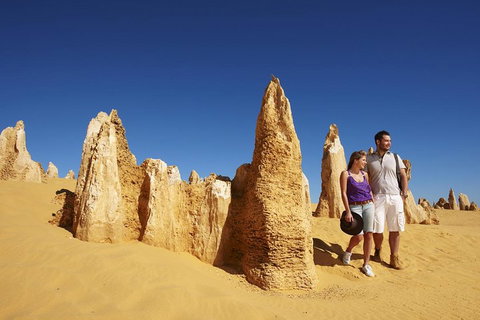 Pinnacles Day Trip From Perth Including Yanchep National Park - Melbourne Tourism 0