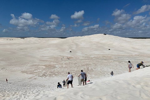 Pinnacles Day Trip From Perth Including Yanchep National Park - Melbourne Tourism 2
