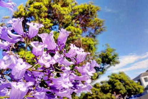 Big Perth (Private) Day Tour - Melbourne Tourism 3
