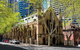 Sydney Scavenger Hunt: Inside Sydney - thumb 2