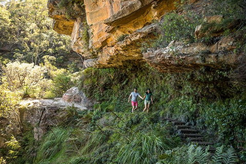 Private Guided: Blue Mountains Hiking & Nature Tour - Melbourne Tourism 2