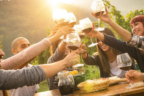 Yarra Valley, Dandenong Ranges Inc. Lunch With Wine,plus Morning Tea,chocolate - Melbourne Tourism 4