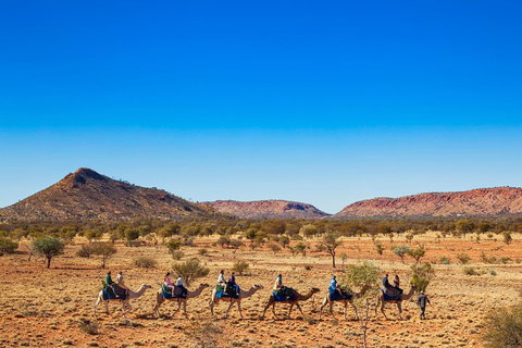 Alice Springs Camel Tour - Melbourne Tourism 0