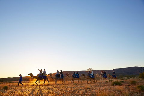 Alice Springs Camel Tour - Melbourne Tourism 1
