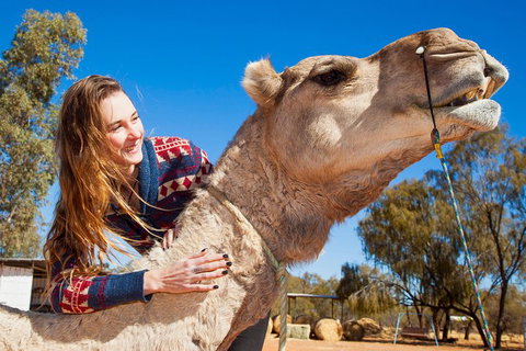 Alice Springs Camel Tour - Melbourne Tourism 2