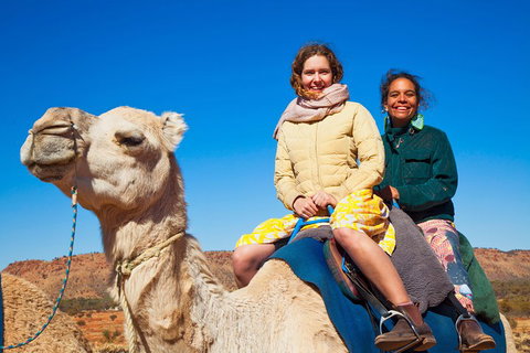 Alice Springs Camel Tour - Melbourne Tourism 3