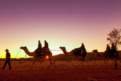 Alice Springs Camel Tour - Melbourne Tourism 4