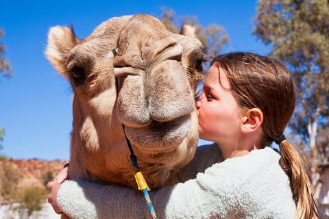 Alice Springs Camel Tour - Melbourne Tourism 5