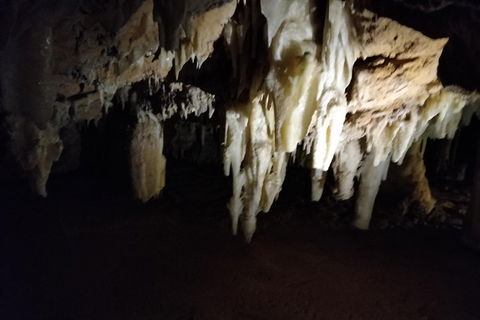 The Pinnacle Adventure Tour - Melbourne Tourism 0
