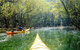 Middle Harbour Mangrove Explorer - thumb 0