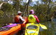 Middle Harbour Mangrove Explorer - thumb 3