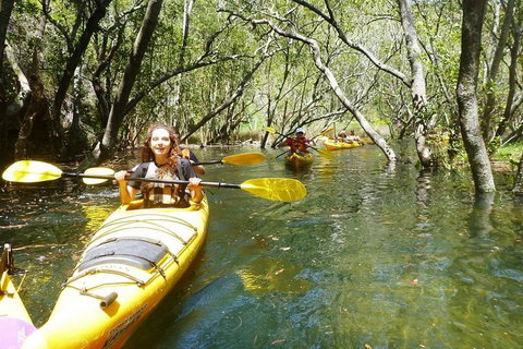 Middle Harbour Mangrove Explorer - Melbourne Tourism 4