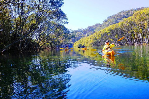 Middle Harbour Mangrove Explorer - Melbourne Tourism 5