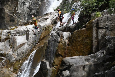 Behana Canyon Rainforest And Waterfall Experience - Melbourne Tourism 2