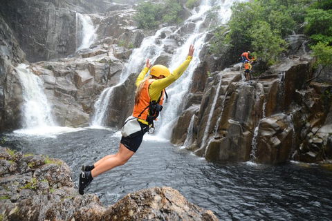Behana Canyon Rainforest And Waterfall Experience - Melbourne Tourism 3