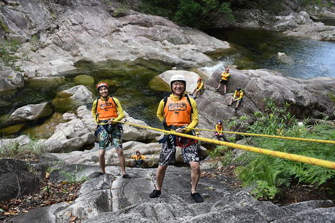 Behana Canyon Rainforest And Waterfall Experience - Melbourne Tourism 4