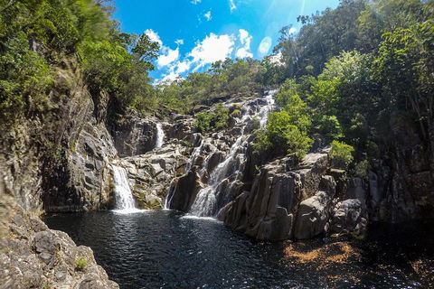 Behana Canyon Rainforest And Waterfall Experience - Melbourne Tourism 5