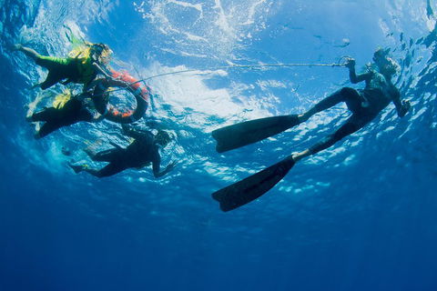 Passions Of Paradise Great Barrier Reef Snorkel And Dive Cruise From Cairns By Luxury Catamaran - Melbourne Tourism 2