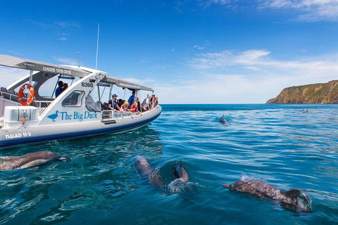 Victor Harbor And McLaren Vale Wine Region Day Tour - Melbourne Tourism 1