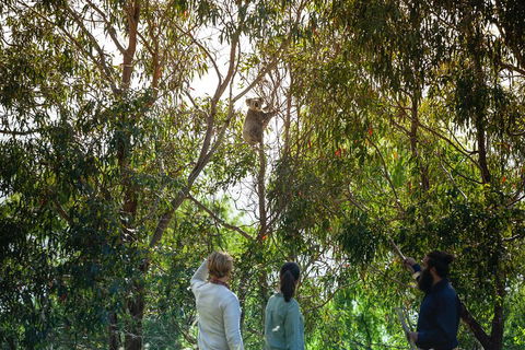 LGBT+ Friendly 3 Day Tour The Grampians, Daylesford & Ballarat - Melbourne Tourism 4