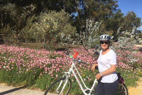 Perth Bike Tour - Beautiful Matilda Bay And Kings Park - Melbourne Tourism 1