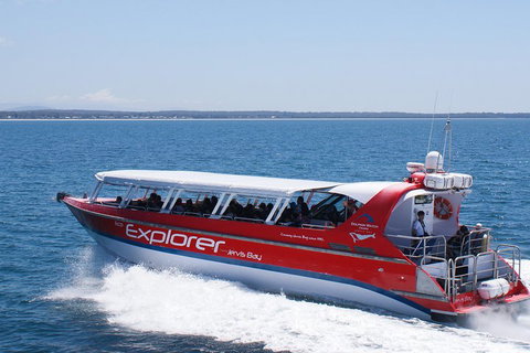 Whale Watching Jervis Bay - Melbourne Tourism 1