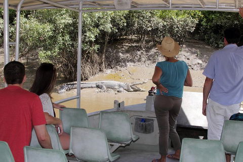 Whitsunday Crocodile Safari Including Lunch - Melbourne Tourism 4