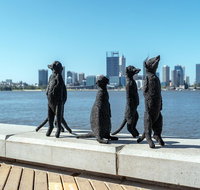 Perth by Bike Private Tour with a Local - Melbourne Tourism