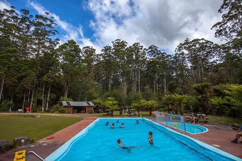 Tahune Airwalk Active Day Trip From Hobart Including Hastings Caves - Melbourne Tourism 0