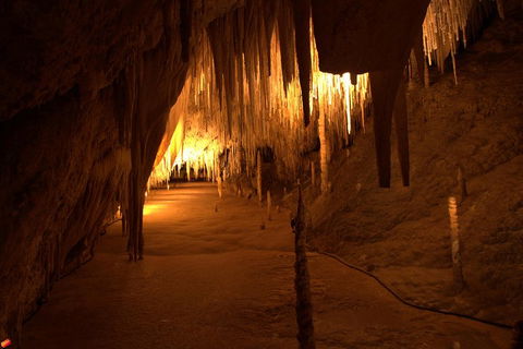 Tahune Airwalk Active Day Trip From Hobart Including Hastings Caves - Melbourne Tourism 4