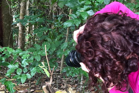 Let's Go Buggin & Let's Go Shroomin - Photography & Nature Walking Tours - Melbourne Tourism 1