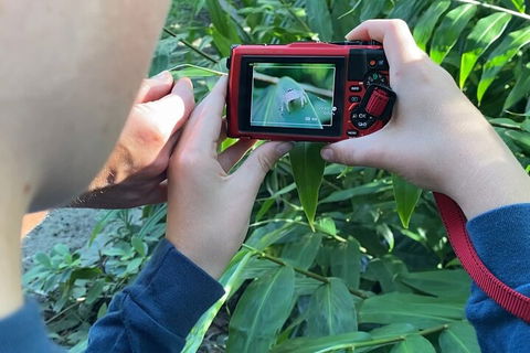 Let's Go Buggin & Let's Go Shroomin - Photography & Nature Walking Tours - Melbourne Tourism 2