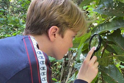 Let's Go Buggin & Let's Go Shroomin - Photography & Nature Walking Tours - Melbourne Tourism 3