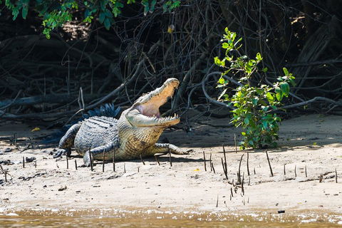 Full Day Cooktown Private Tour - Melbourne Tourism 4