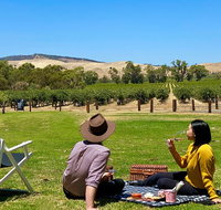 Private Picnic and Wine Tasting Experience in Barossa Valley - Melbourne Tourism