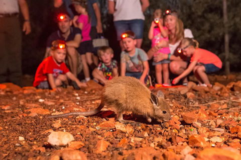 Alice Springs Desert Park Nocturnal Tour - Melbourne Tourism 1