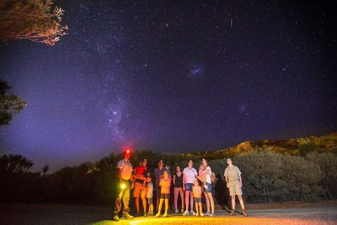 Alice Springs Desert Park Nocturnal Tour - Melbourne Tourism 2