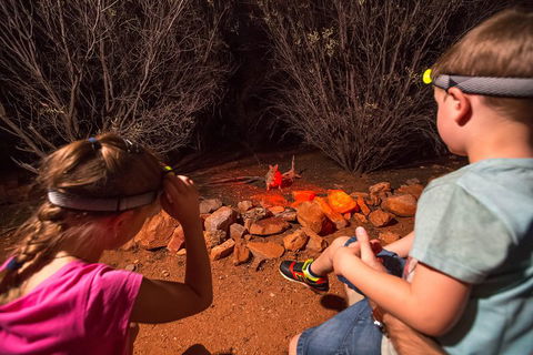 Alice Springs Desert Park Nocturnal Tour - Melbourne Tourism 4